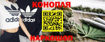 гашик Бузулук